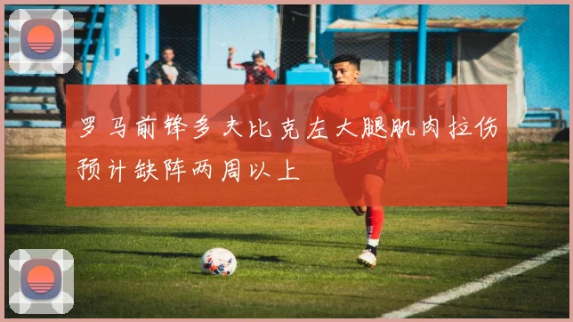罗马前锋多夫比克左大腿肌肉拉伤预计缺阵两周以上