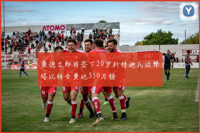 桑德兰即将签下20岁科特迪瓦边锋塔比转会费达350万镑