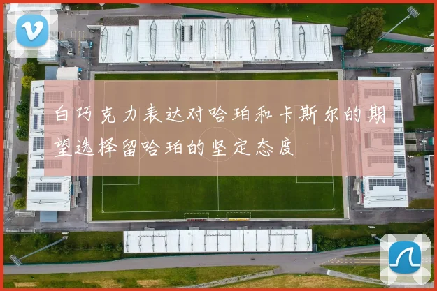 白巧克力表达对哈珀和卡斯尔的期望选择留哈珀的坚定态度